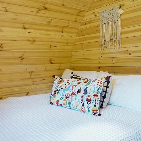 Marlborough Wine Barrel Cabins Blenheim Exterior photo