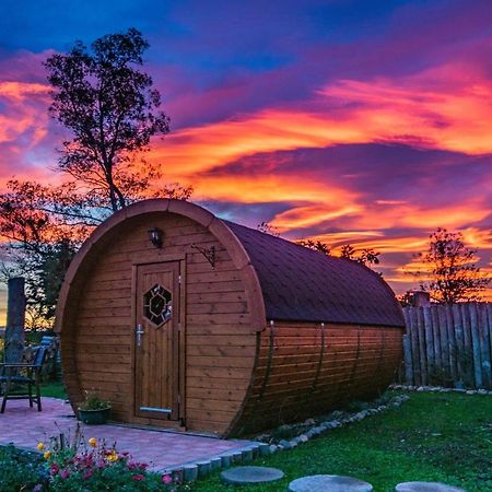 Marlborough Wine Barrel Cabins Blenheim Exterior photo