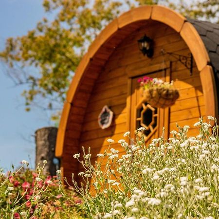 Marlborough Wine Barrel Cabins Blenheim Exterior photo