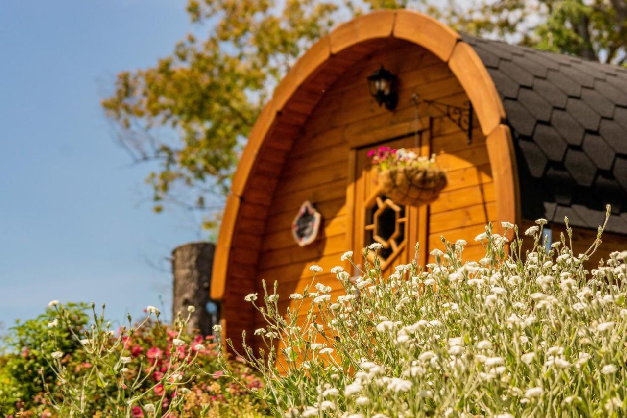 Marlborough Wine Barrel Cabins Blenheim Exterior photo